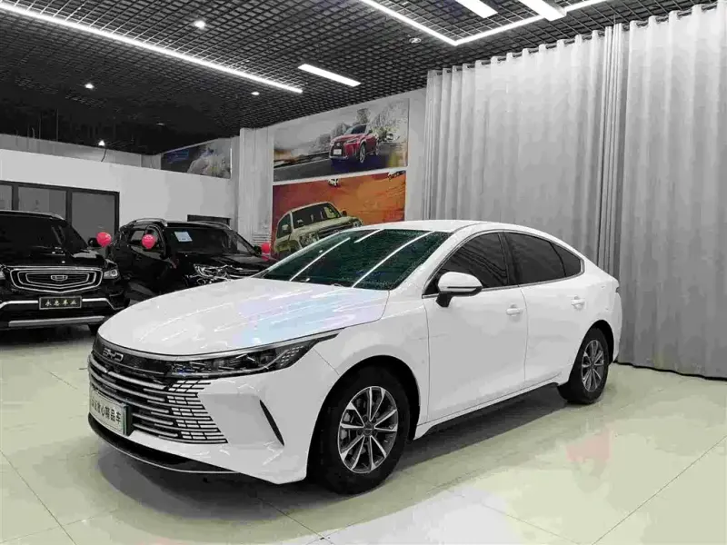BYD Destroyer 05, 2024