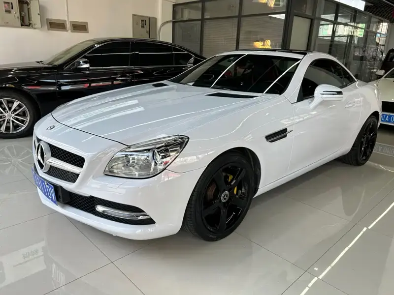 Mercedes-Benz SLK-Class, 2014 — фото 1