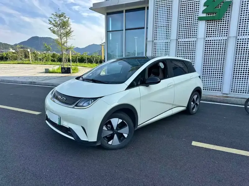 BYD Dolphin, 2024