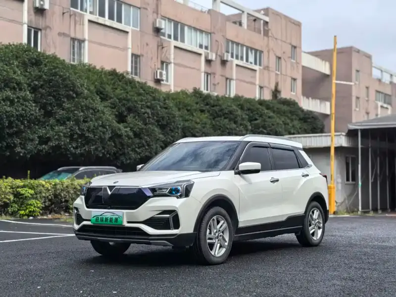 Venucia T60 EV, 2024