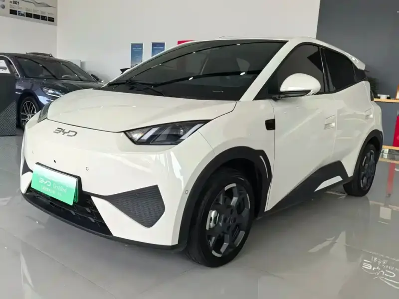 BYD Seagull, 2025