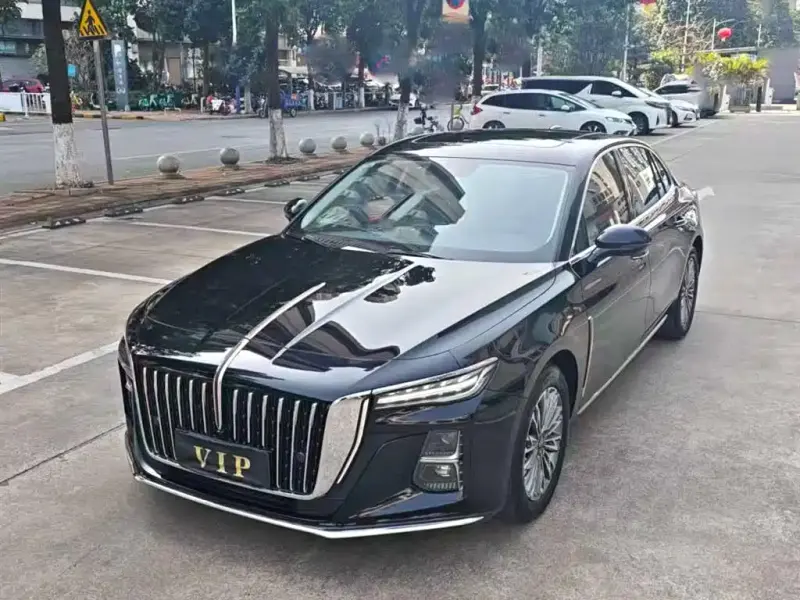 Hongqi H5, 2024