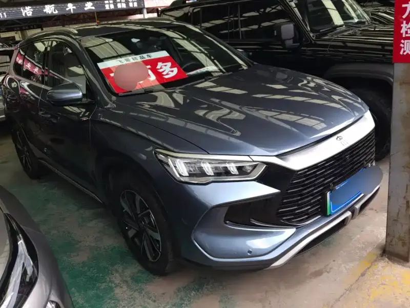 BYD Pro New Energy, 2025