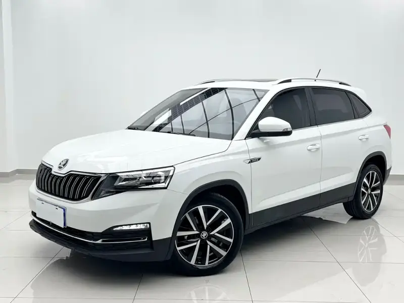Skoda Kamiq, 2023 — фото 1
