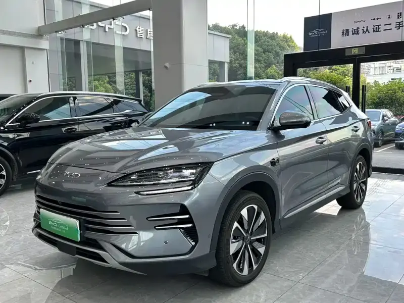 BYD PLUS New Energy, 2025 — фото 1