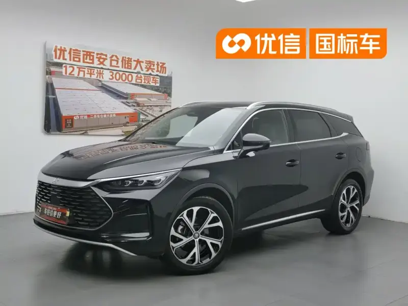 BYD Tang New Energy, 2025