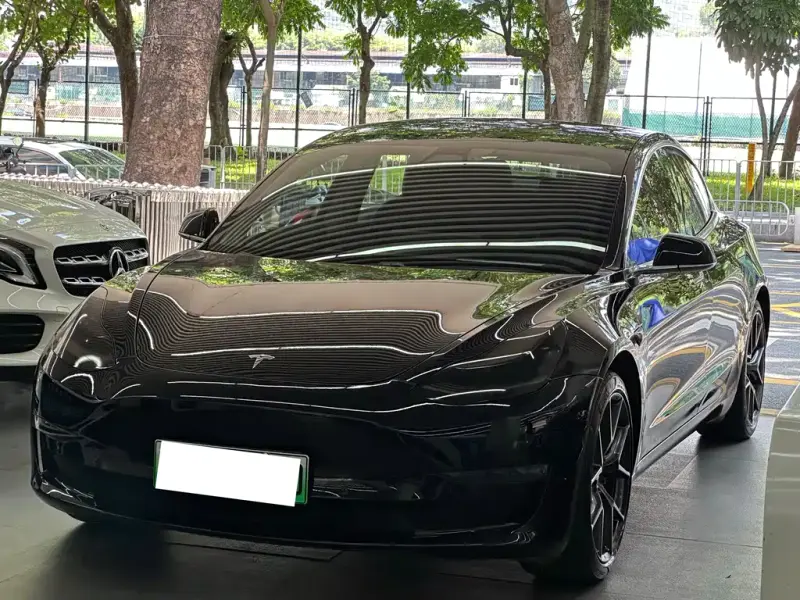 Tesla Model 3, 2019