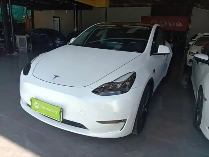 Tesla Model Y, 2021
