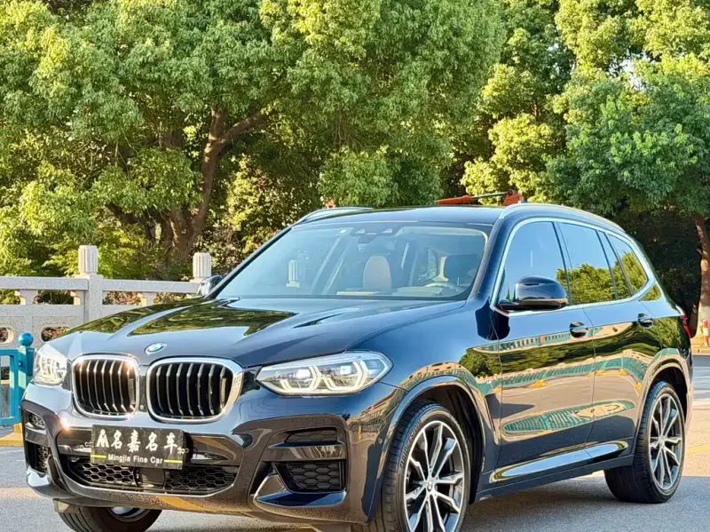 BMW X3, 2019 — фото 1