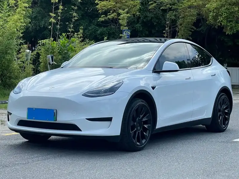 Tesla Model Y, 2023 — фото 1