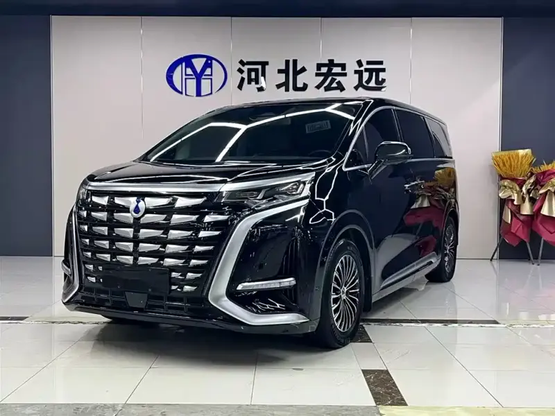 Denza D9, 2024