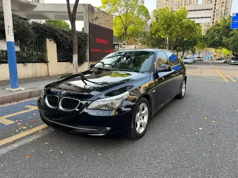 BMW 5 Series, 2010