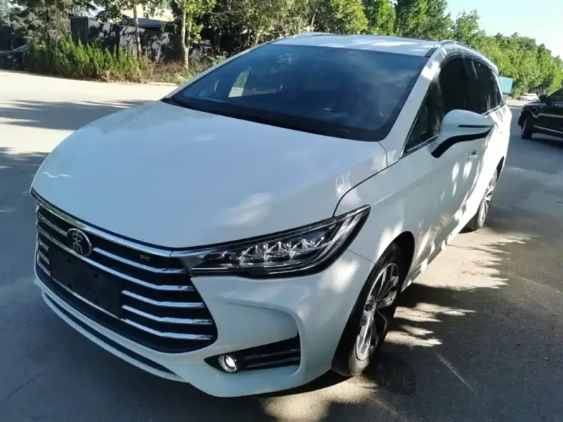 BYD MAX, 2019