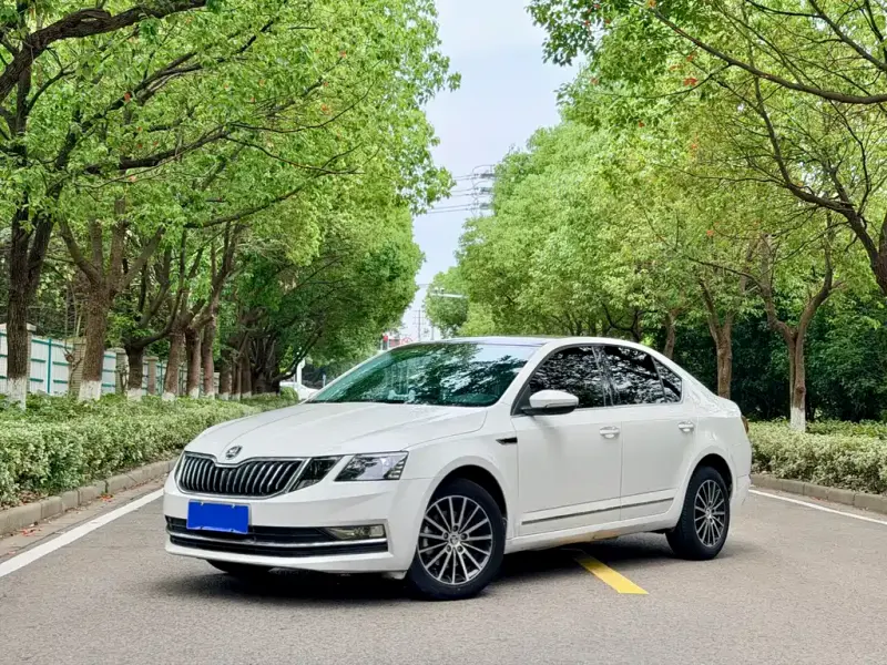 Skoda Octavia, 2018 — фото 1