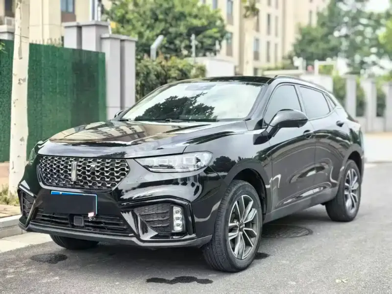 Wey VV5, 2020