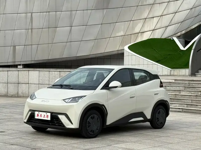 BYD Seagull, 2024