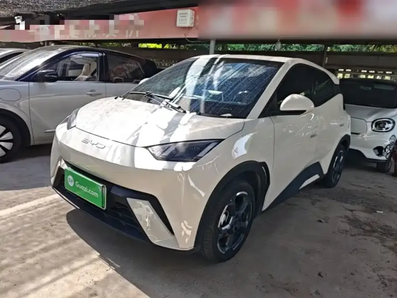 BYD Seagull, 2023