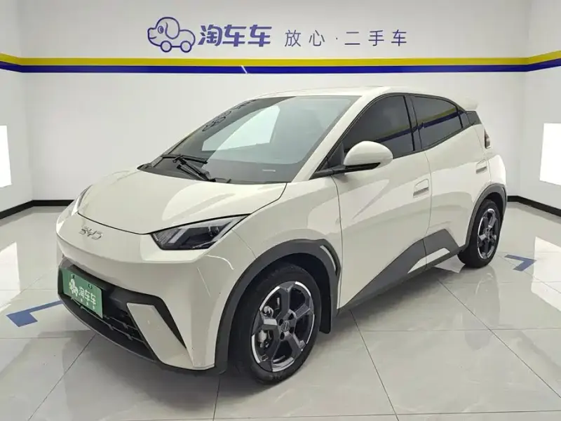 BYD Seagull, 2024