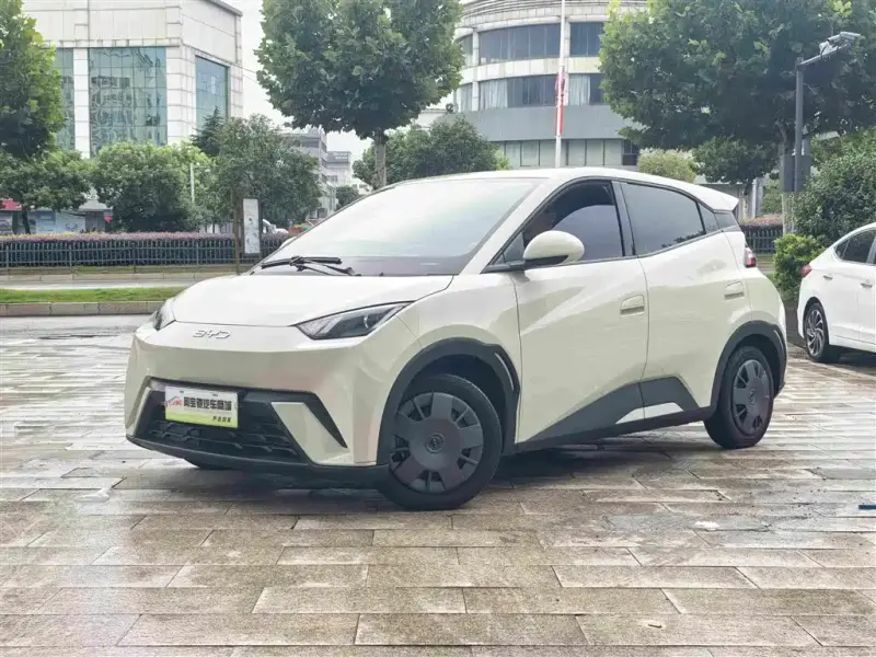 BYD Seagull, 2025