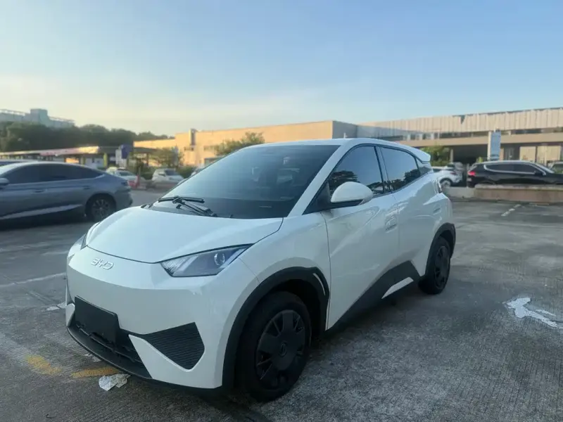 BYD Seagull, 2026