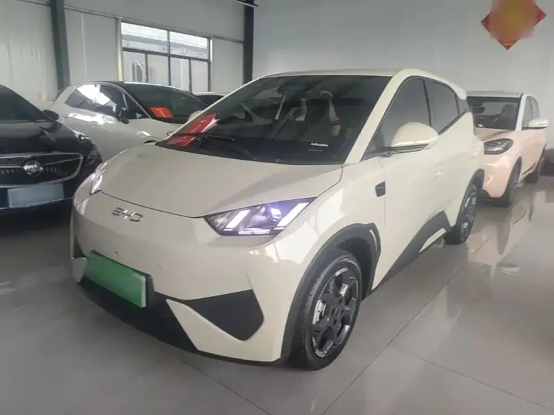 BYD Seagull, 2025