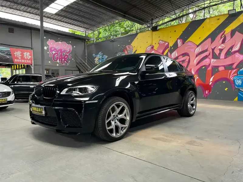 BMW X6, 2009