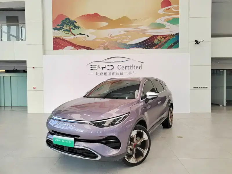 Denza X, 2020