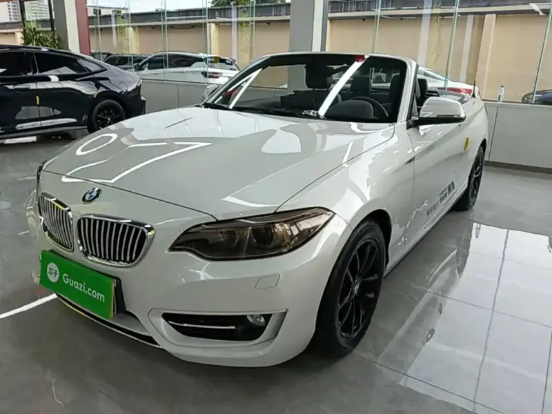 BMW 2 Series (Import), 2017 — фото 1