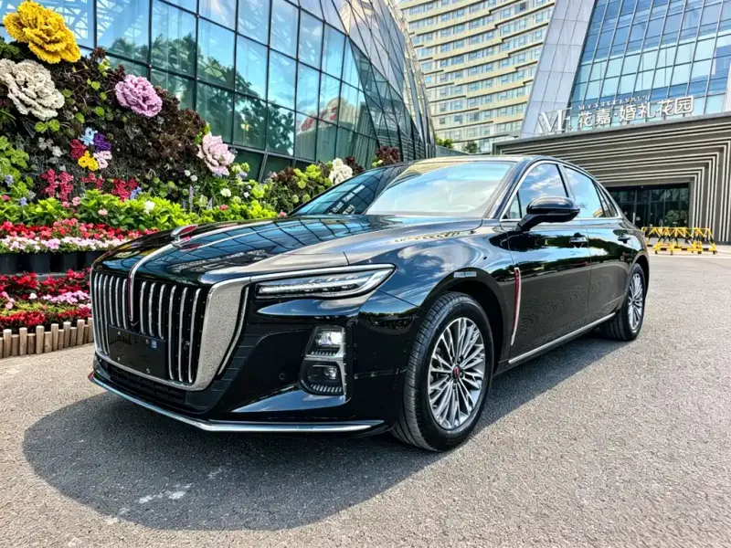 Hongqi H5, 2024