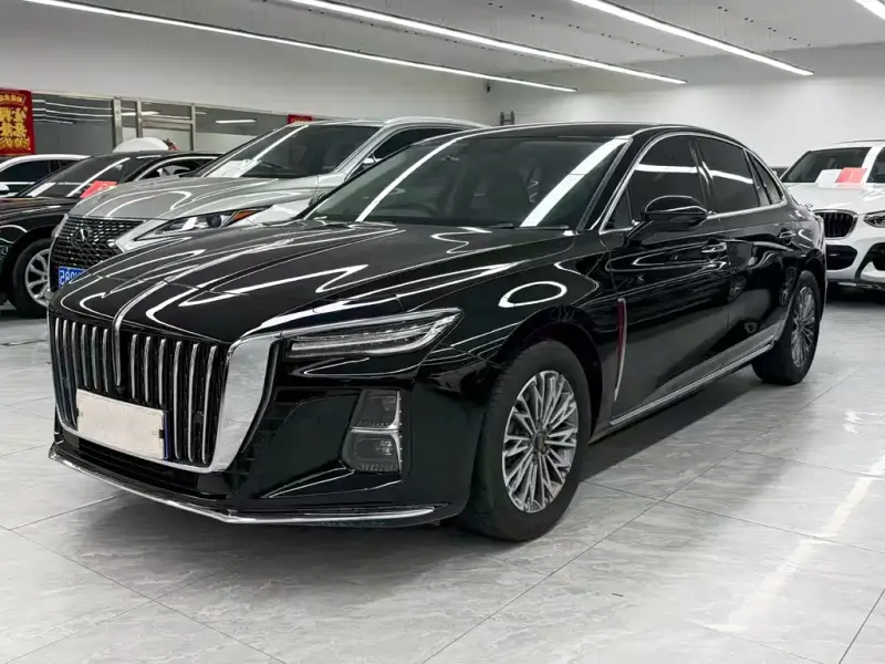 Hongqi H5, 2024