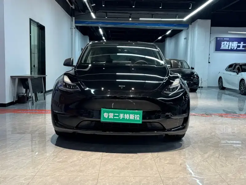 Tesla Model Y, 2021