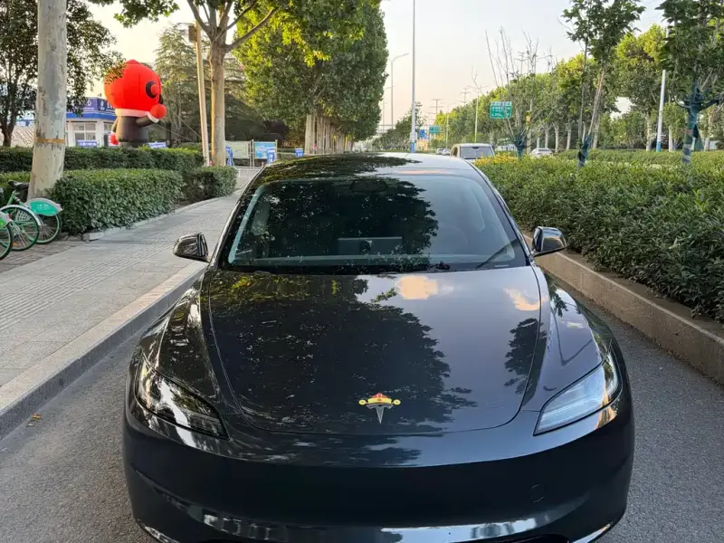 Tesla Model 3, 2025