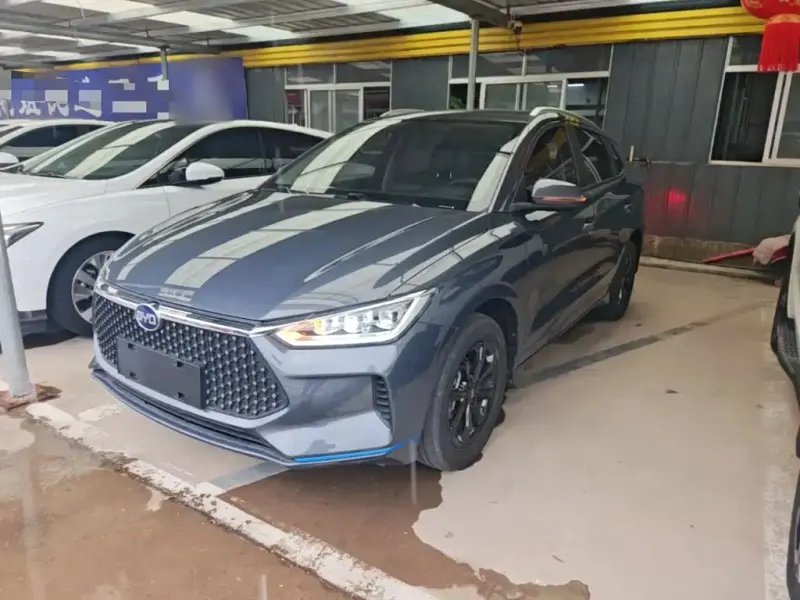 BYD e2, 2020