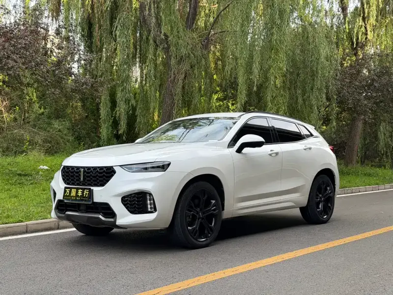 Wey VV7, 2018
