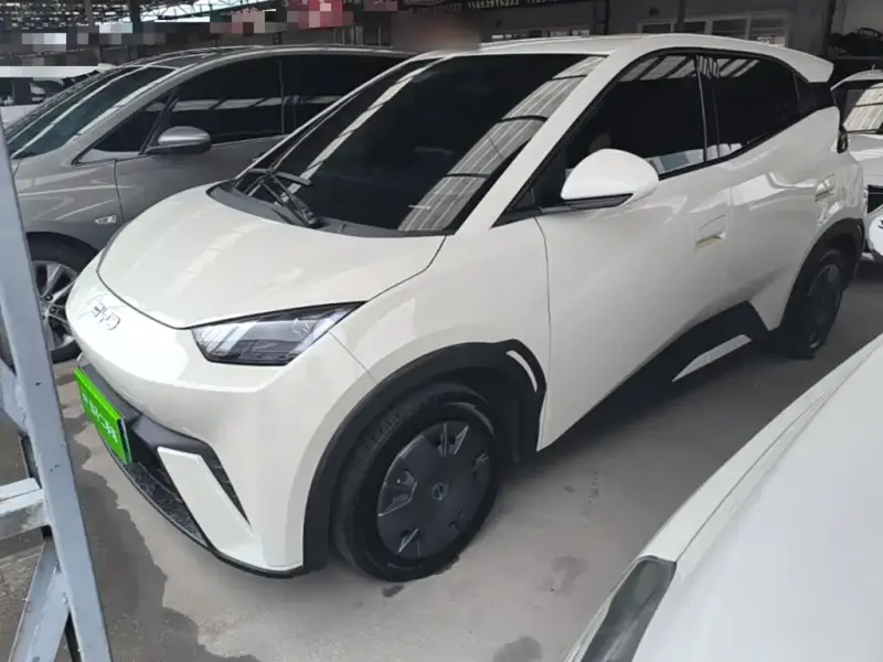 BYD Seagull, 2024