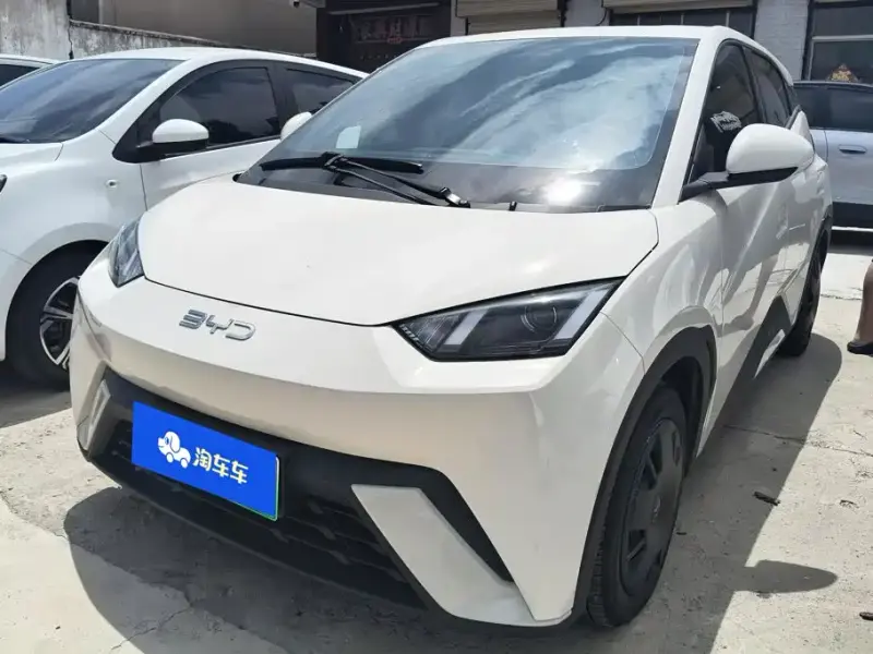 BYD Seagull, 2024