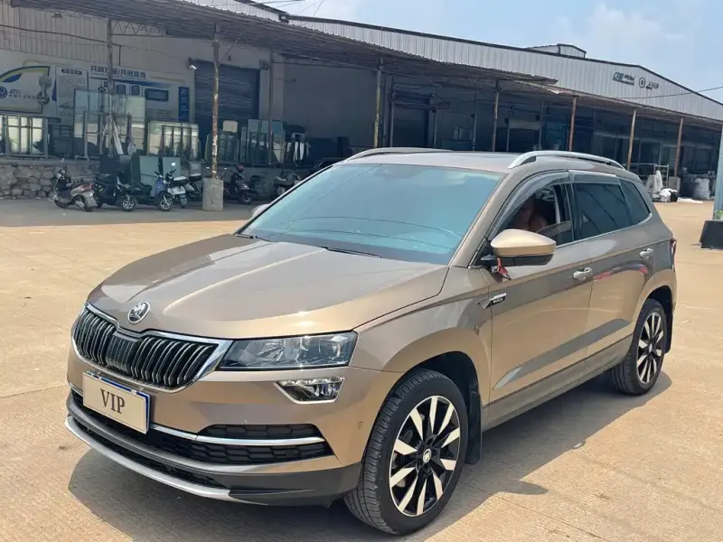 Skoda Karoq, 2020