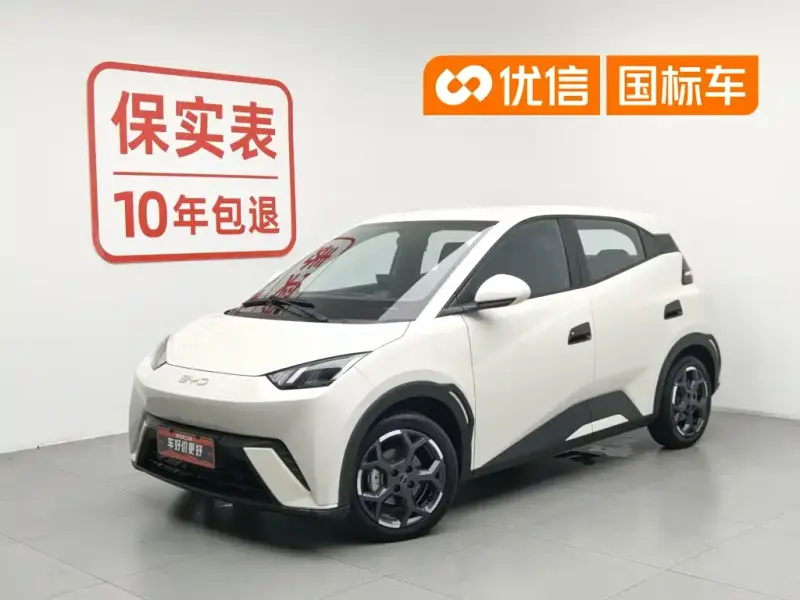 BYD Seagull, 2025