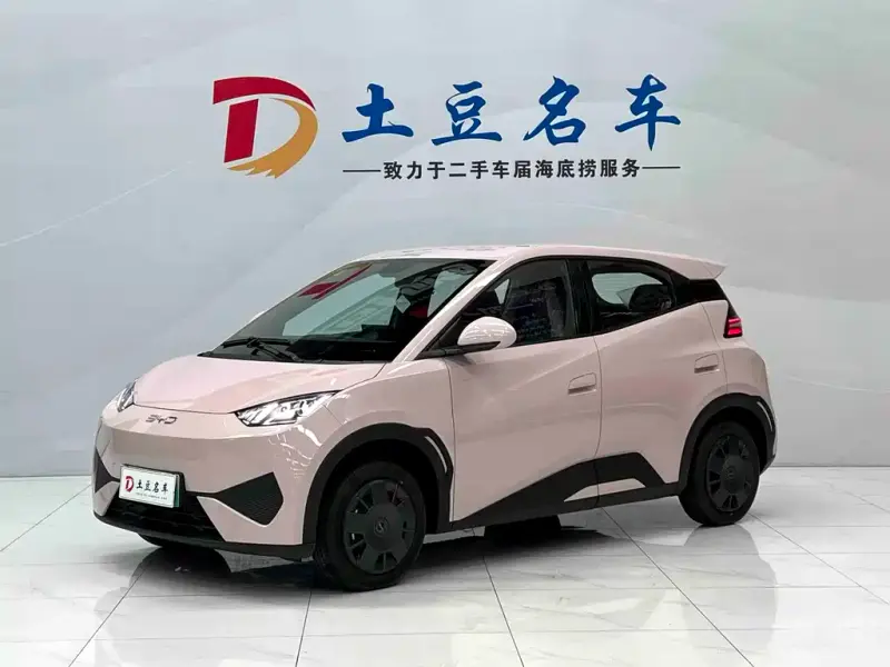 BYD Seagull, 2026