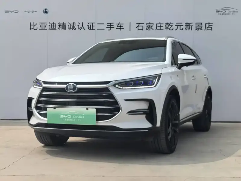 BYD Tang New Energy, 2020
