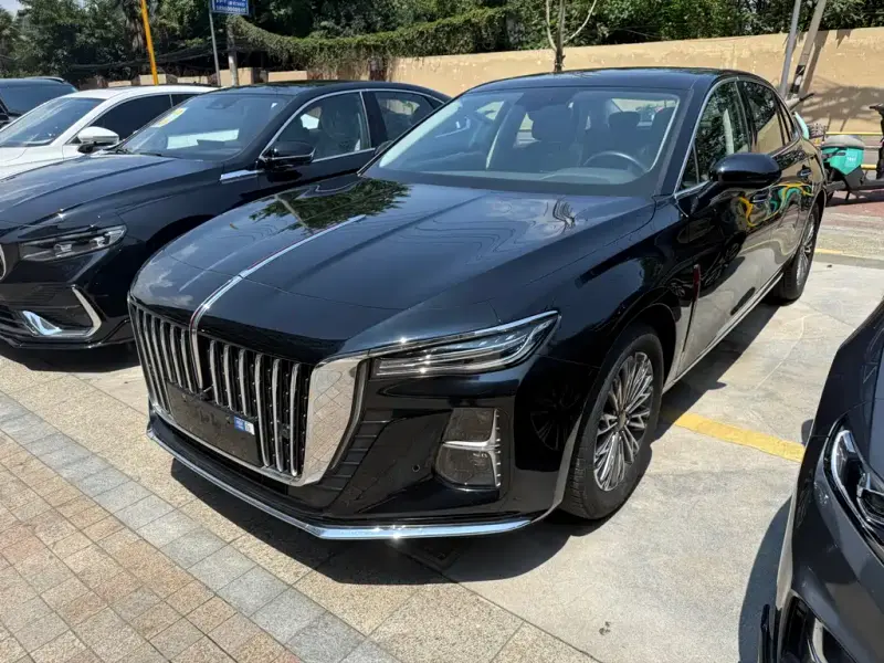 Hongqi H5, 2024
