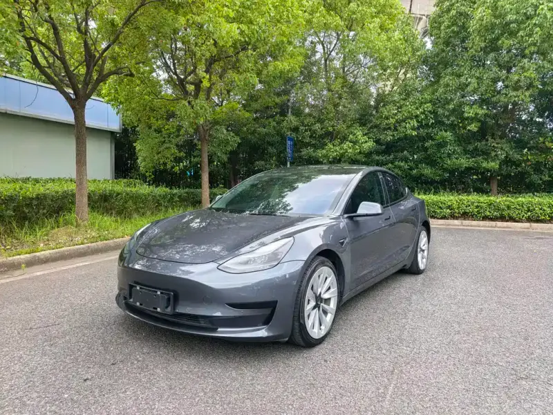 Tesla Model 3, 2021