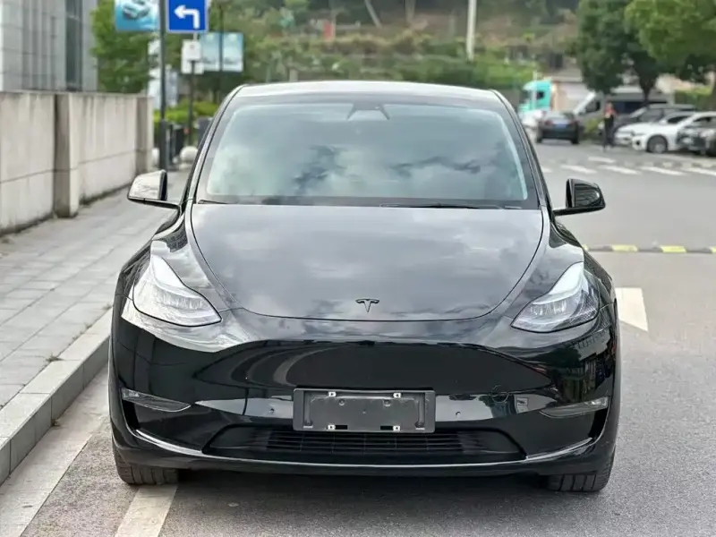 Tesla Model Y, 2021