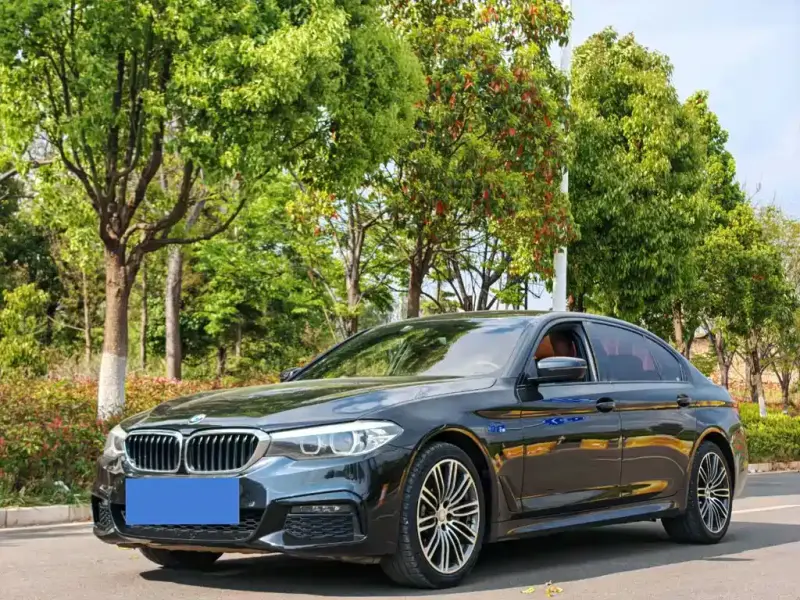 BMW 5 Series, 2019