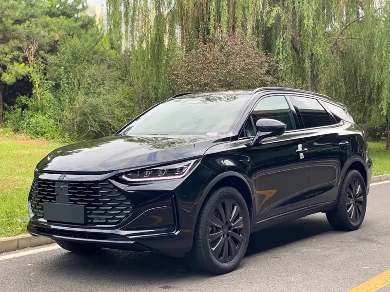 BYD Tang New Energy, 2026