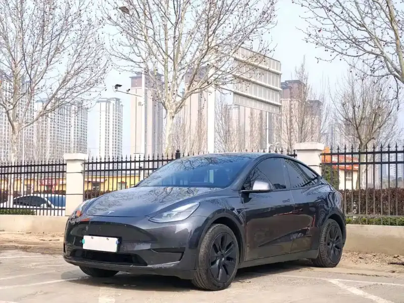Tesla Model Y, 2024