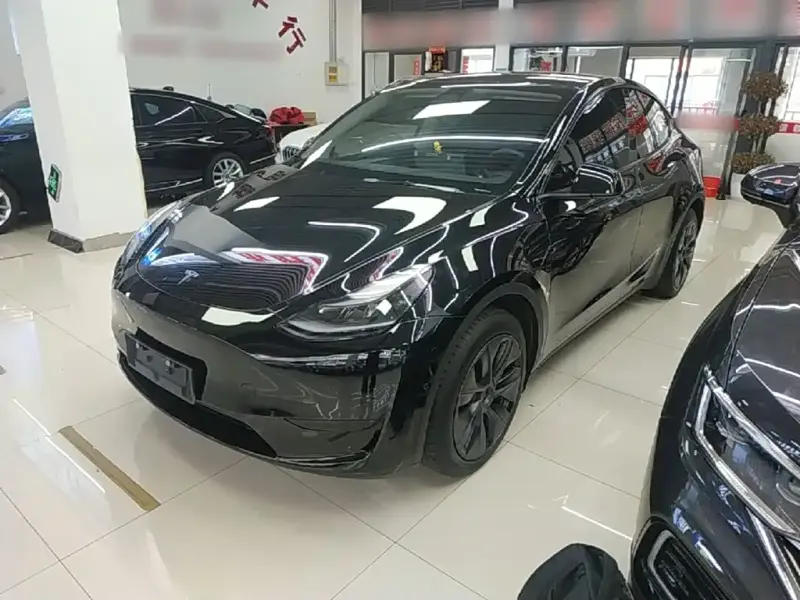 Tesla Model Y, 2024