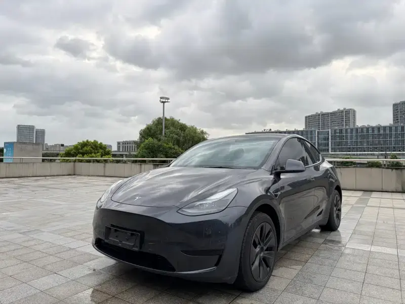 Tesla Model Y, 2024