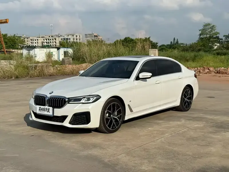 BMW 5 Series, 2020