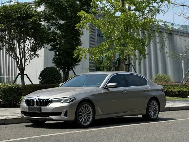 BMW 5 Series, 2020